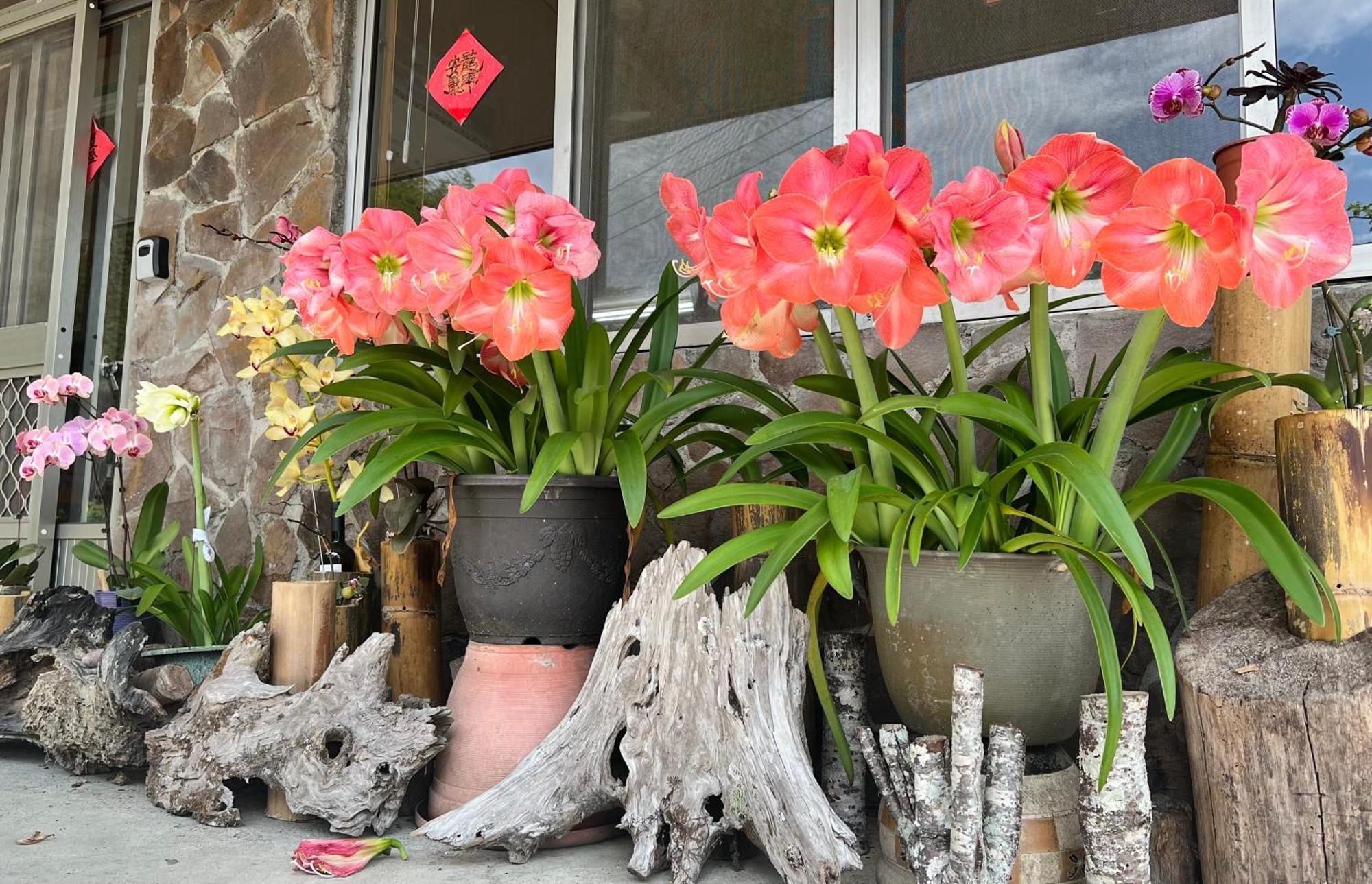 仲明居zhong Ming Ju Taoyi Fang Bed & Breakfast Fanlu Eksteriør bilde